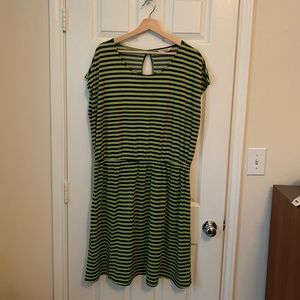 Ellen Tracy, bright green/navy stripe, XXL